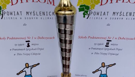 Powiatowe Igrzyska Dzieci w Piłce Nożnej