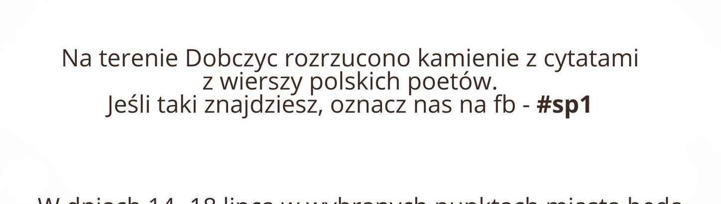 Rozrzucona poezja