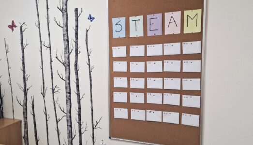 Projekt STEAM