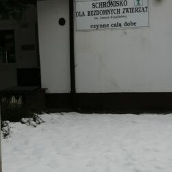 Schronisko dla Zwierząt