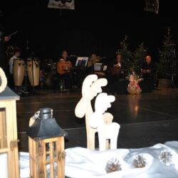 Koncert ,,Gwiazdo świeć, kolędo leć"