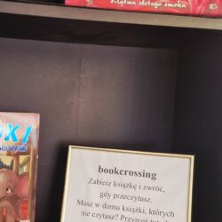 Wystrój stołówki szkolnej